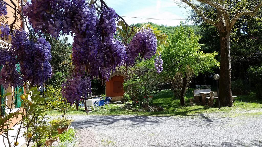 Monte San Pietro Villa Storica Calderino מראה חיצוני תמונה